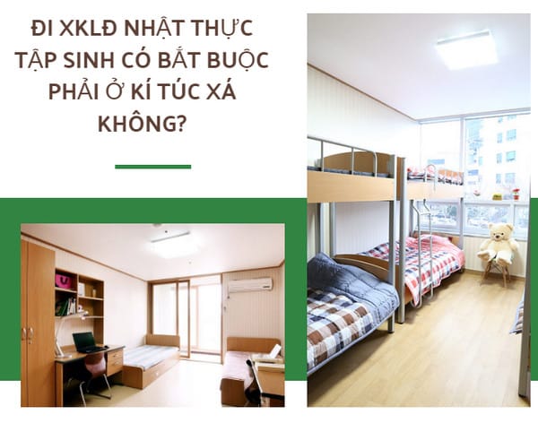 Kinh Nghiệm Thuê Nhà Ở Nhật: Nên Chọn Ký Túc Xá Hay Thuê Ngoài?